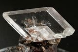 Water-Clear Selenite Crystal Cluster - Naica Mine, Mexico #325089-1